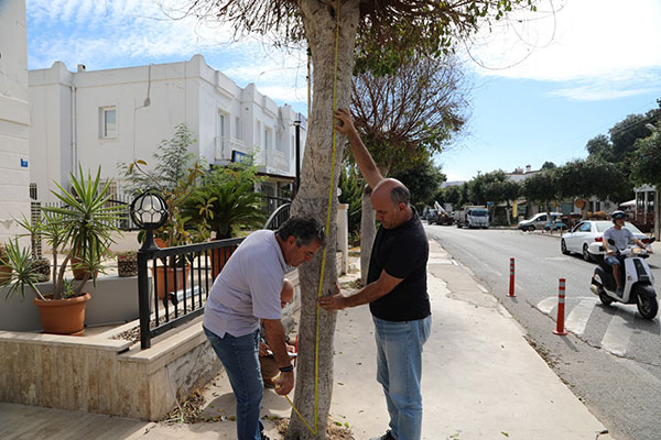 Bodrum Belediyesi haberleri