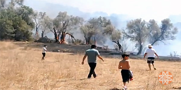 Muğla sıcak haber