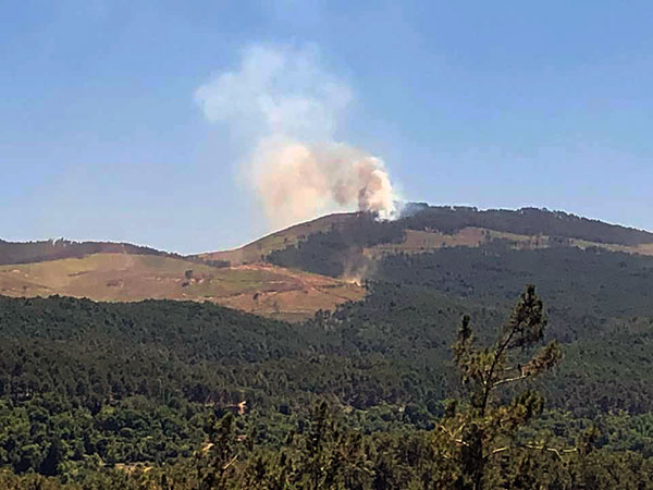 Kavaklıdere'de orman yangını - 48 Haber Ajansı (Görsel: Veli İkiz)