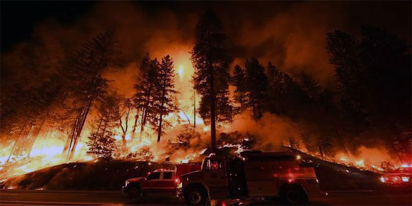 Orman yangını - Temsili görsel - Arşiv - 48 Haber Ajansı